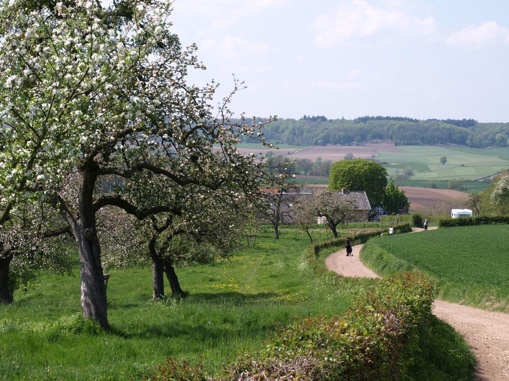 Buitenplaats De Mechelerhof Mechelen Exteriör bild